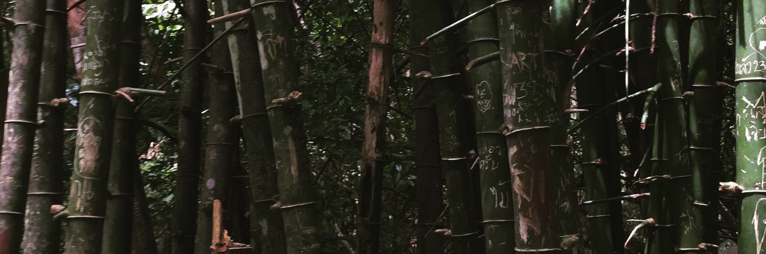 JukSpecTuS's profile banner image