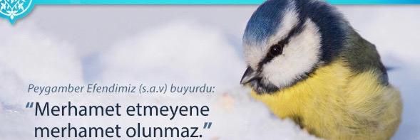 eminhadber's profile banner image