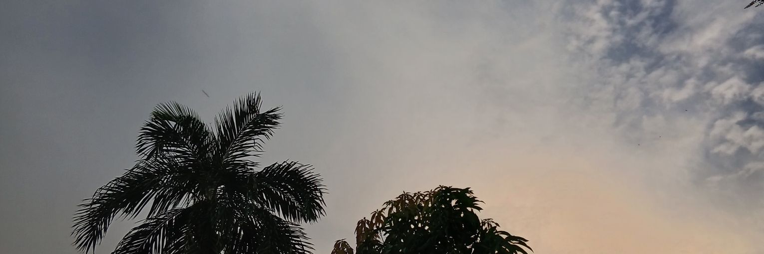 iamwlms's profile banner image