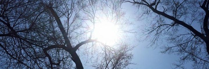 tsh1104's profile banner image