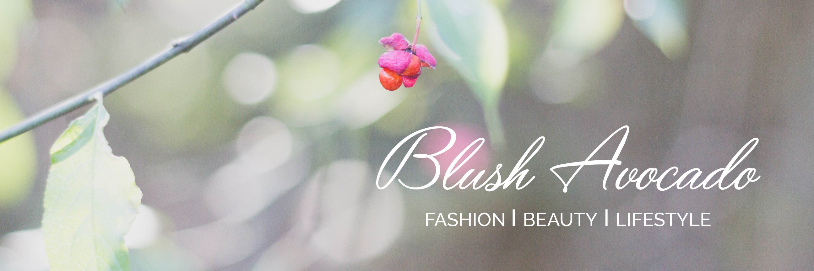 BlushAvocado's profile banner image