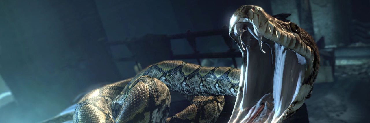 NevilleLRPG's profile banner image