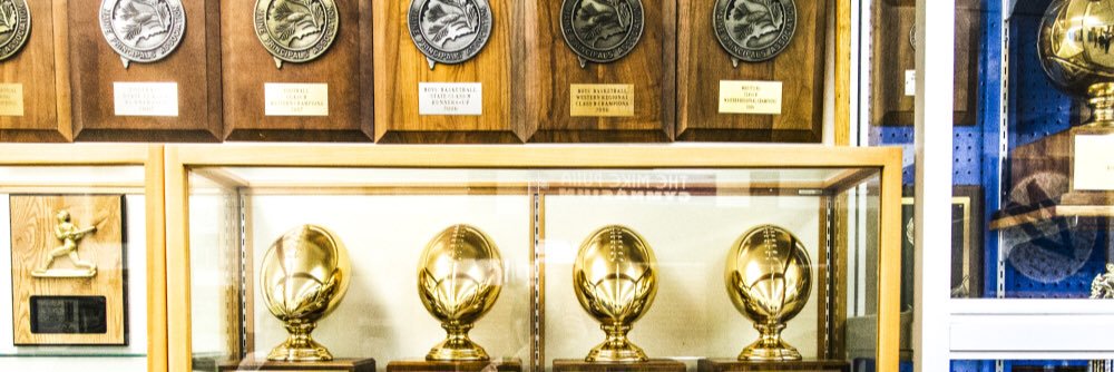 MVHSFALCONPRIDE's profile banner image