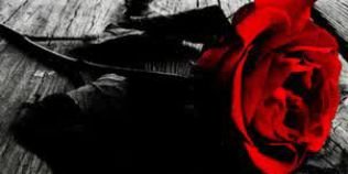 endelpermata's profile banner image