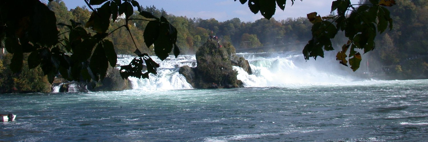 Elsbeth Pfenninger banner