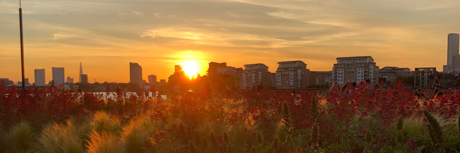 LittlePips88's profile banner image