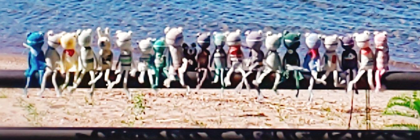 あり🐼🐼🐼🐼🥀𓈒𓂂𓇬CBR600F、メグロS1 banner