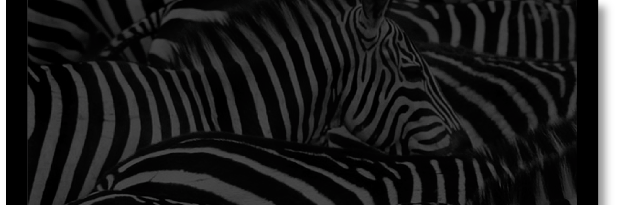 PhysicianCog's profile banner image
