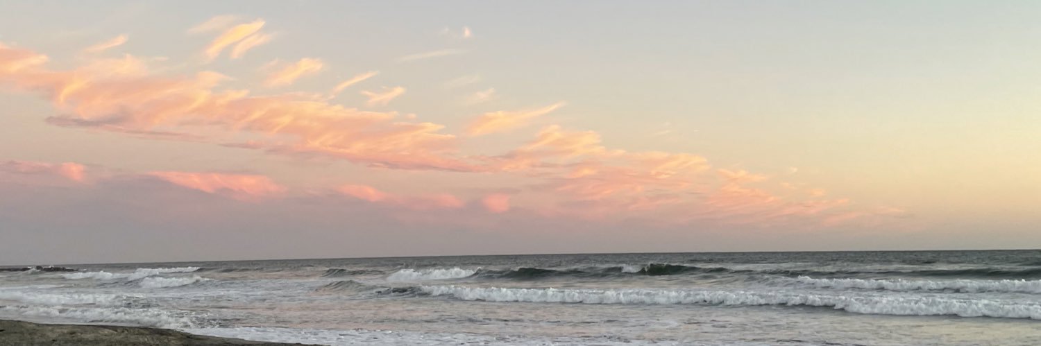 lexielitzler's profile banner image