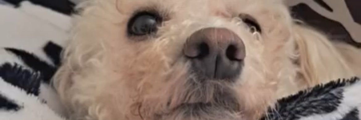 Danielaaa_sb's profile banner image