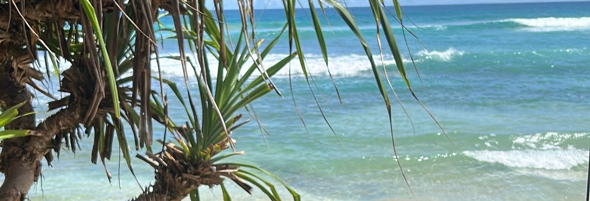 timsimtai's profile banner image