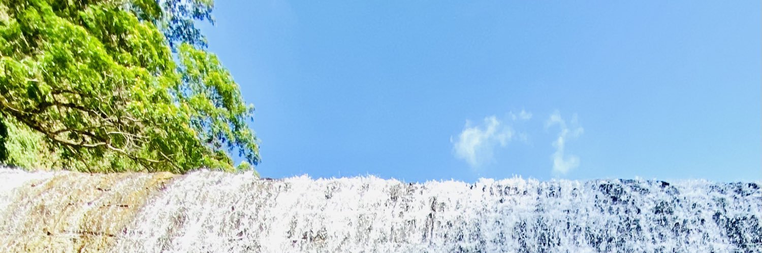 eerika106's profile banner image