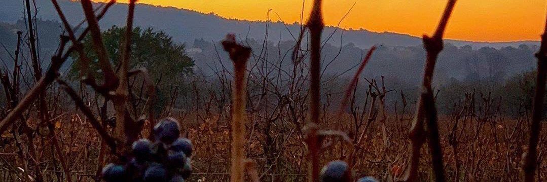 patbianchetti's profile banner image