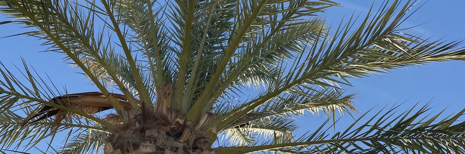 Bryan Vásquez 🇪🇨🇪🇸 banner