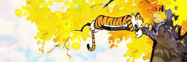 Dan Kim banner