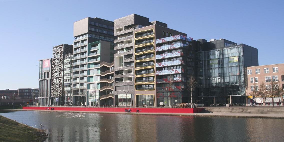 Sanne de Wilde banner