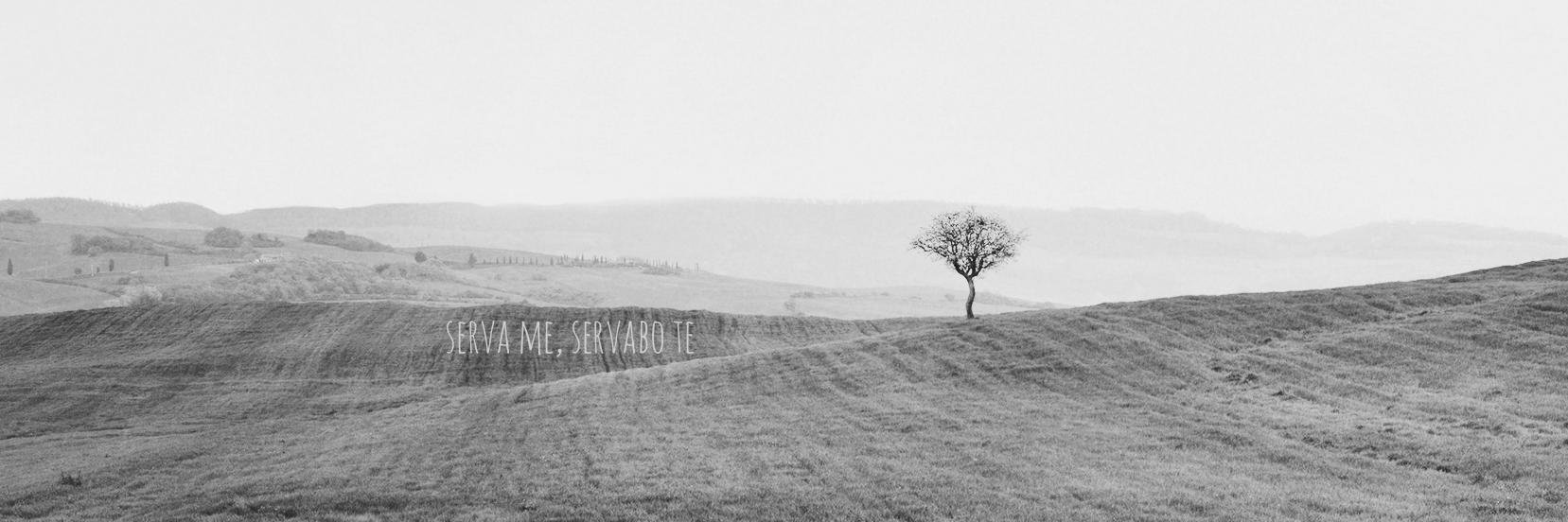 froydisgeithus's profile banner image