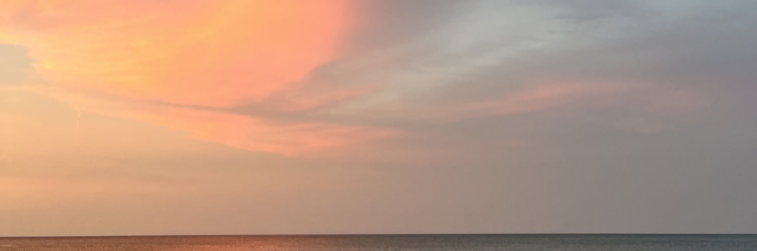 ms aquarius banner