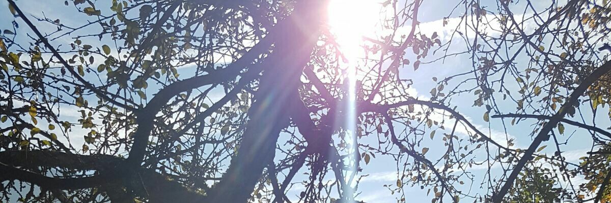 simplicit7's profile banner image