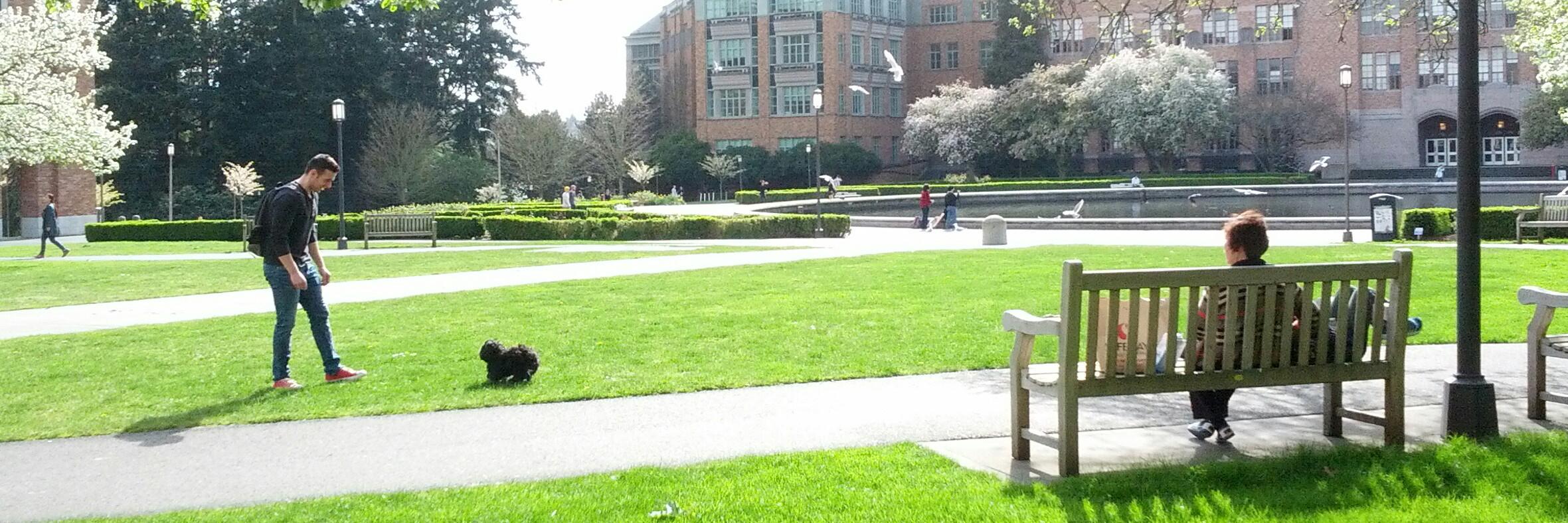 Kam Wing Chan banner