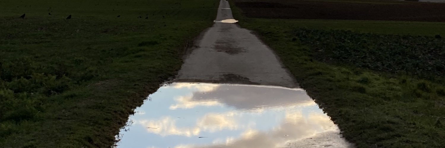 Alberto Mocchi banner