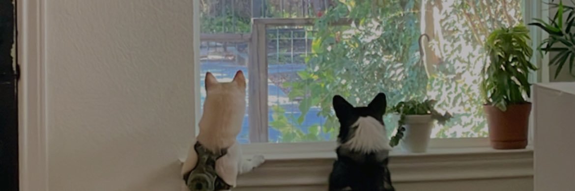 Esli ♥️ banner