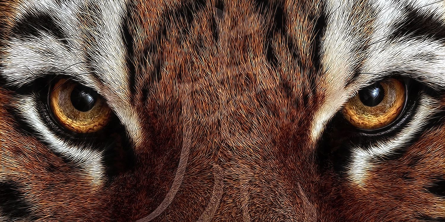 Rene_Gade's profile banner image