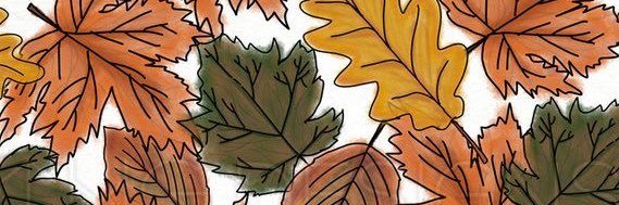 Caitlyn_Lauer's profile banner image