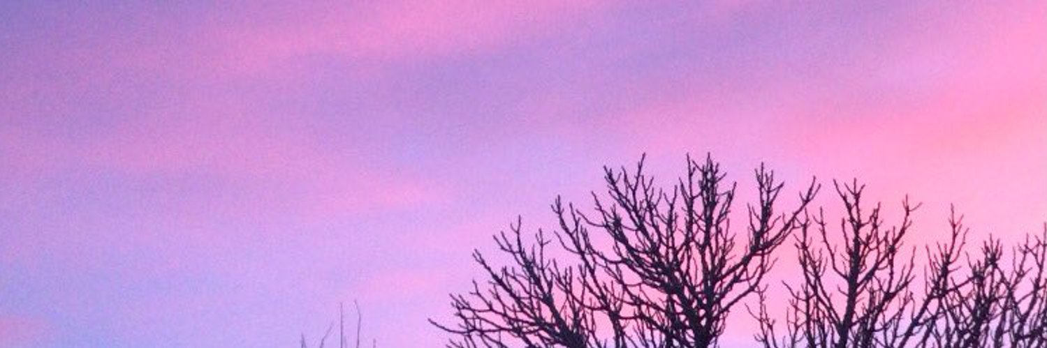 winchesholmes's profile banner image
