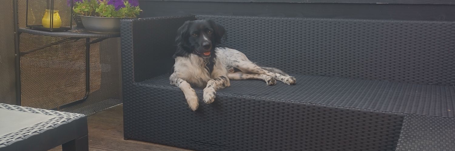 Jahoordaarisieweer banner