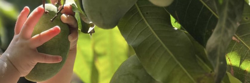 NadjaGalvan's profile banner image