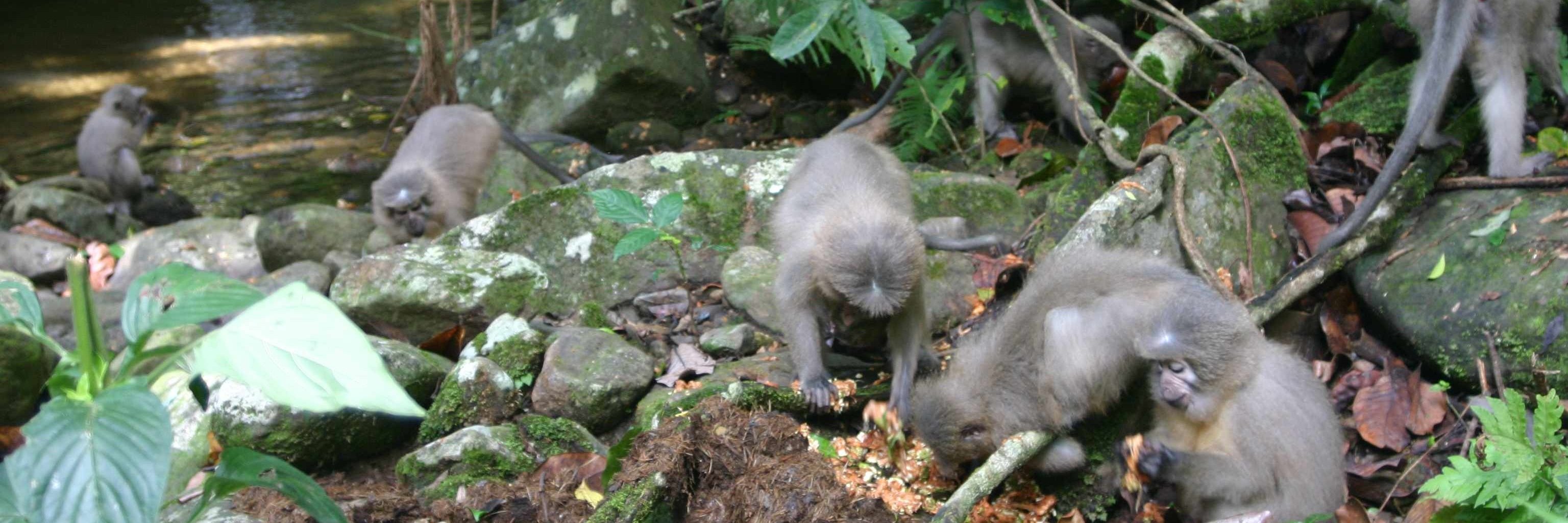 Dr. David Fernández banner