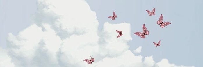 wizzico's profile banner image