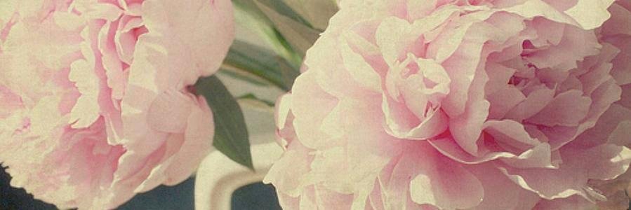armurtagh's profile banner image