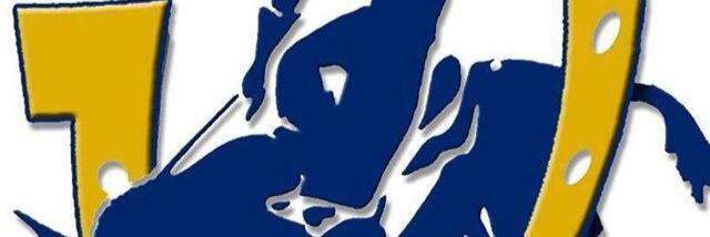 NslsSau's profile banner image