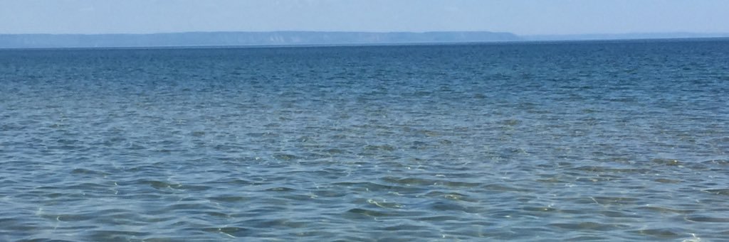 msmcgovarin's profile banner image