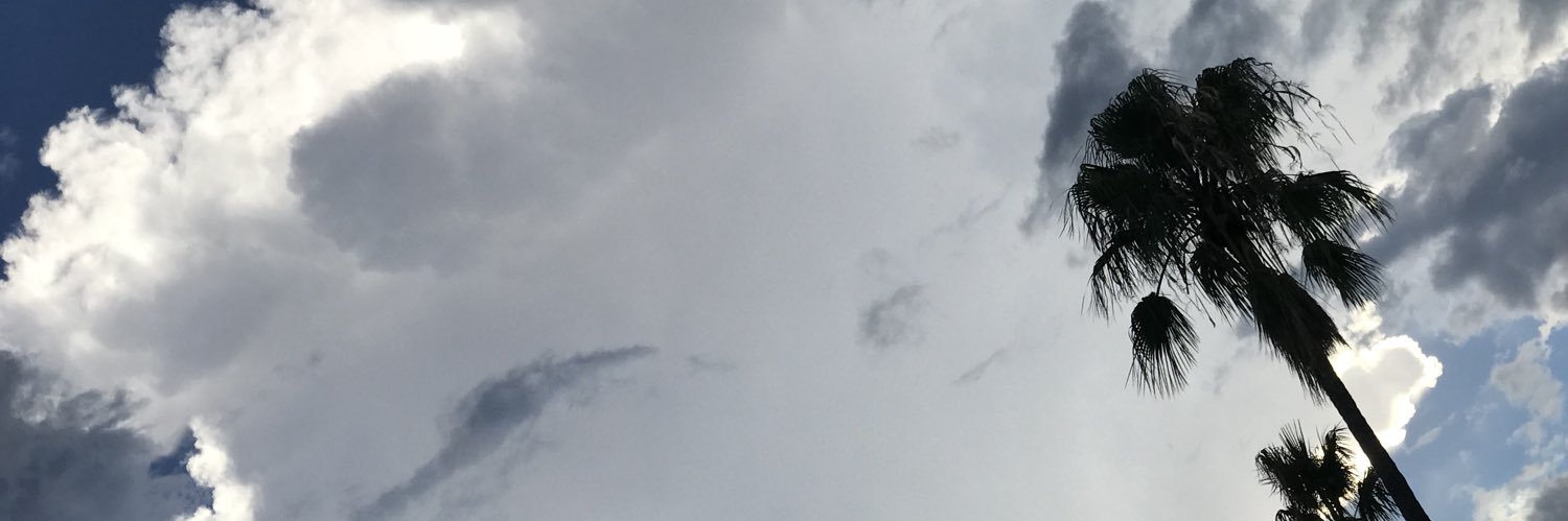 Florieleq's profile banner image