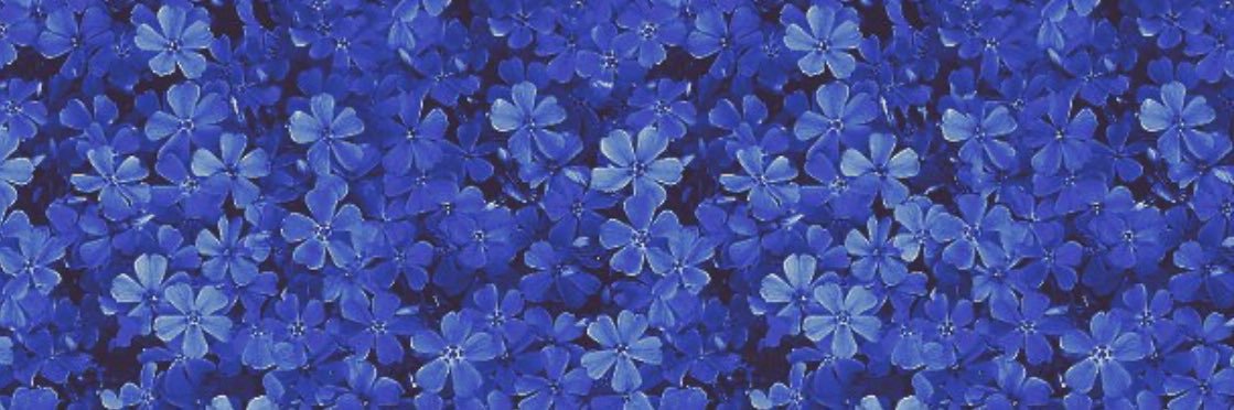 _eliishaa's profile banner image