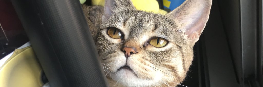 MissMiller_35's profile banner image