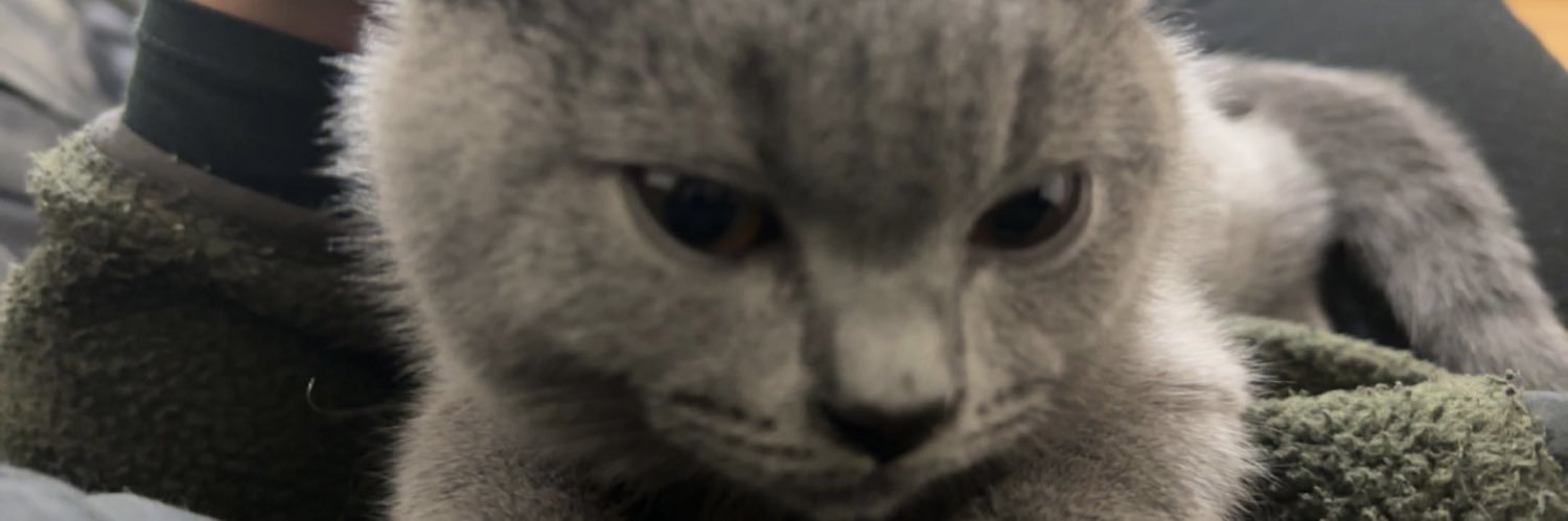 _aaleen's profile banner image