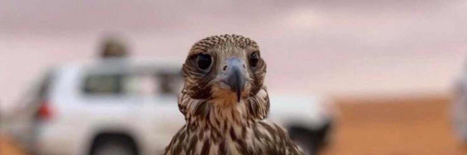 megren221's profile banner image