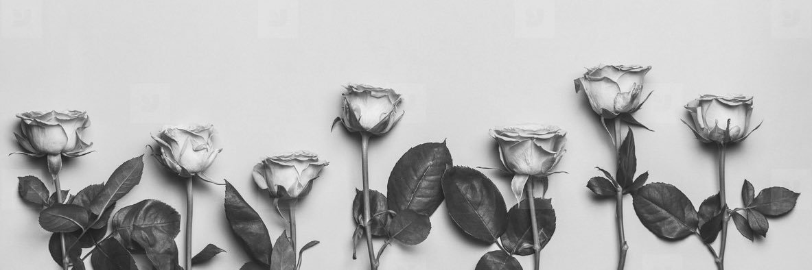 Rehannabailey_'s profile banner image