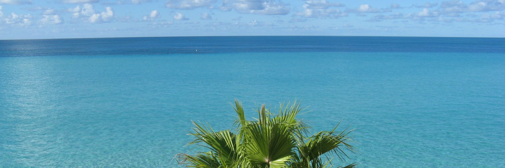 Gillian_TC's profile banner image