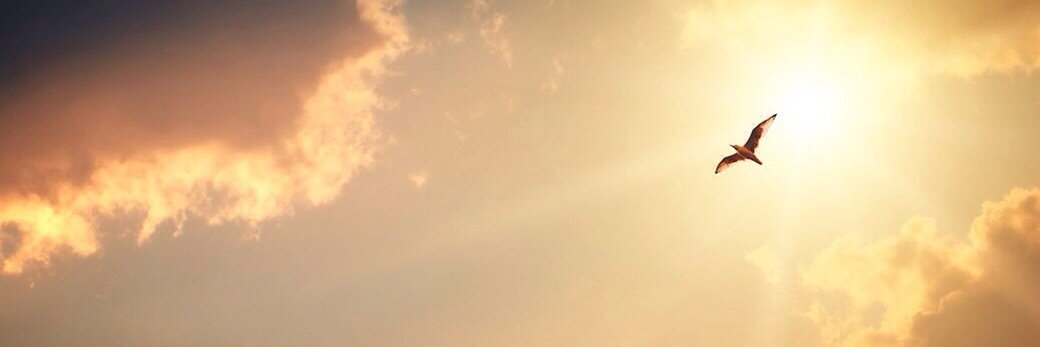 TayGuti's profile banner image