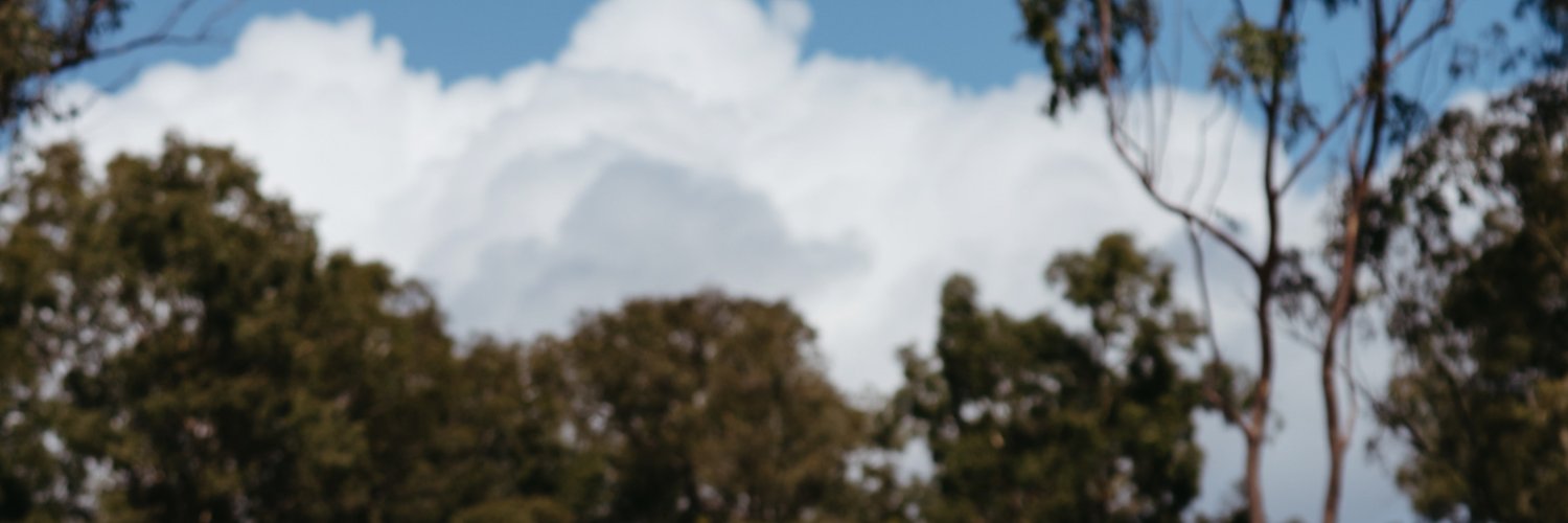 planckpixels's profile banner image