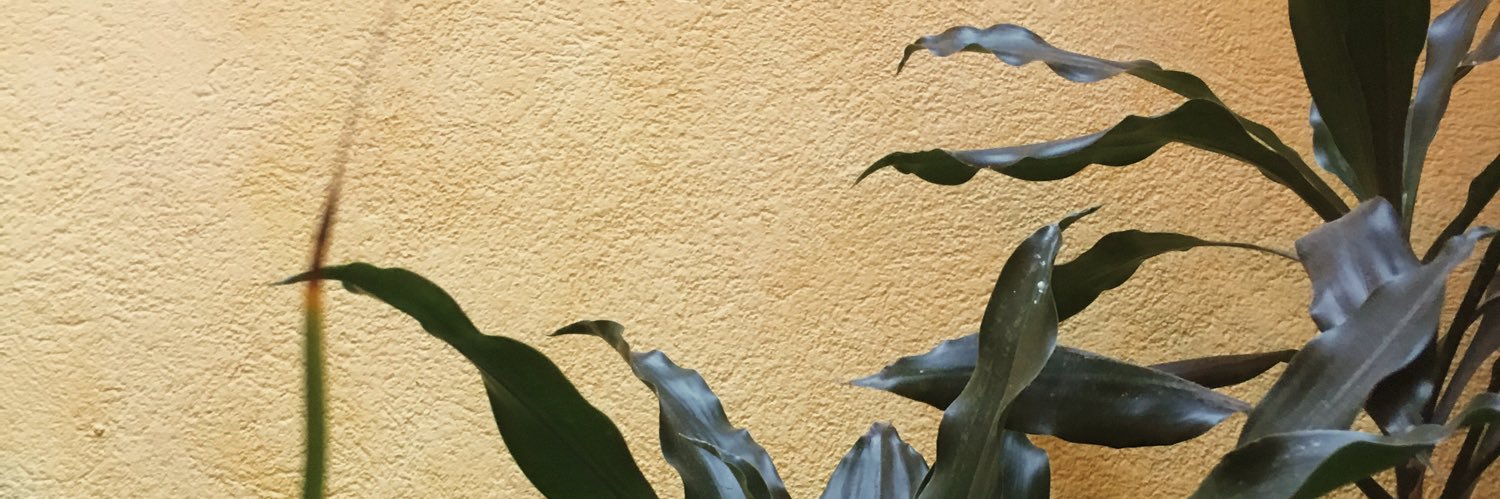 jazzbhogal_'s profile banner image