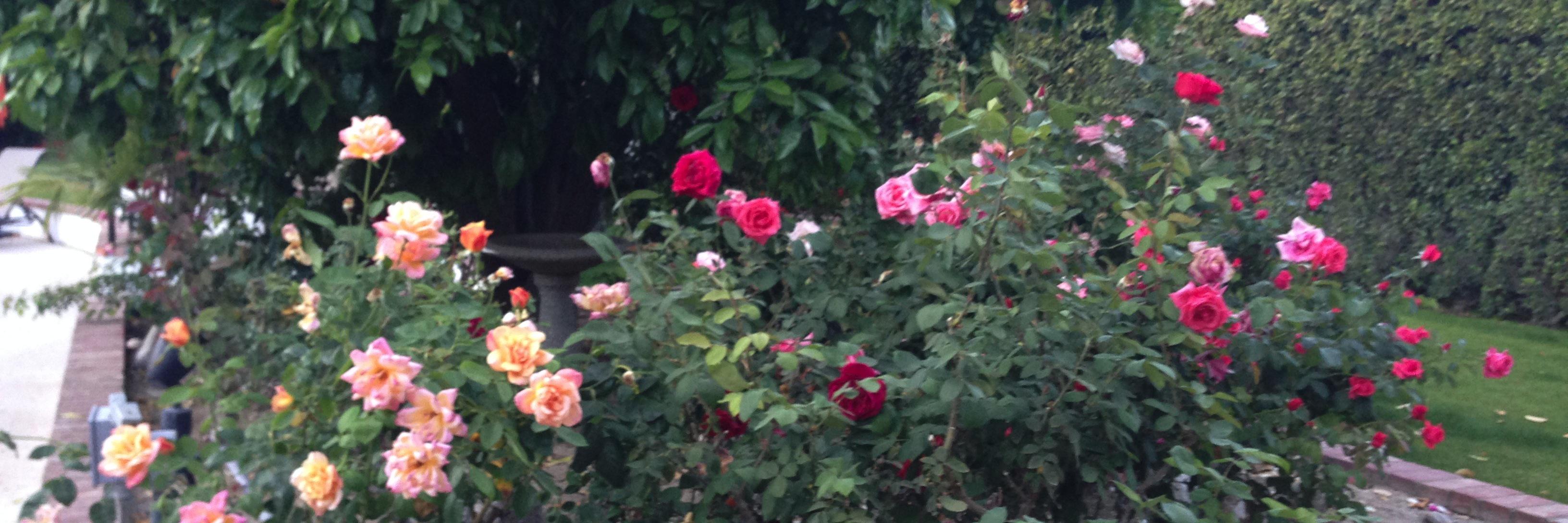 DebraLFields's profile banner image