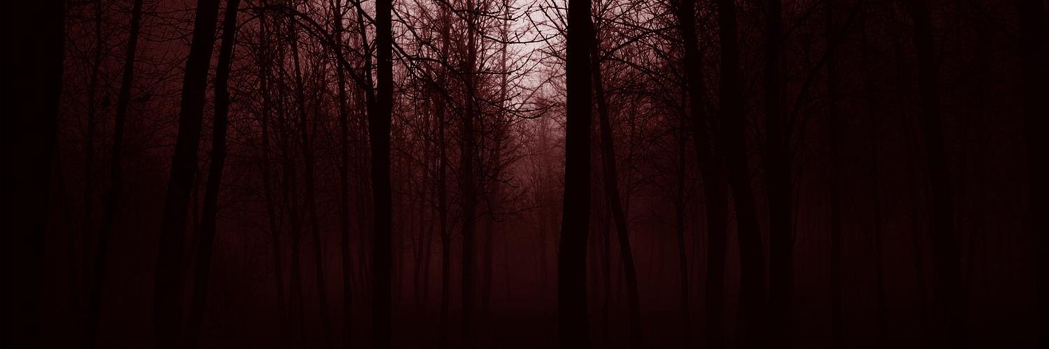 PurgatoryNative's profile banner image