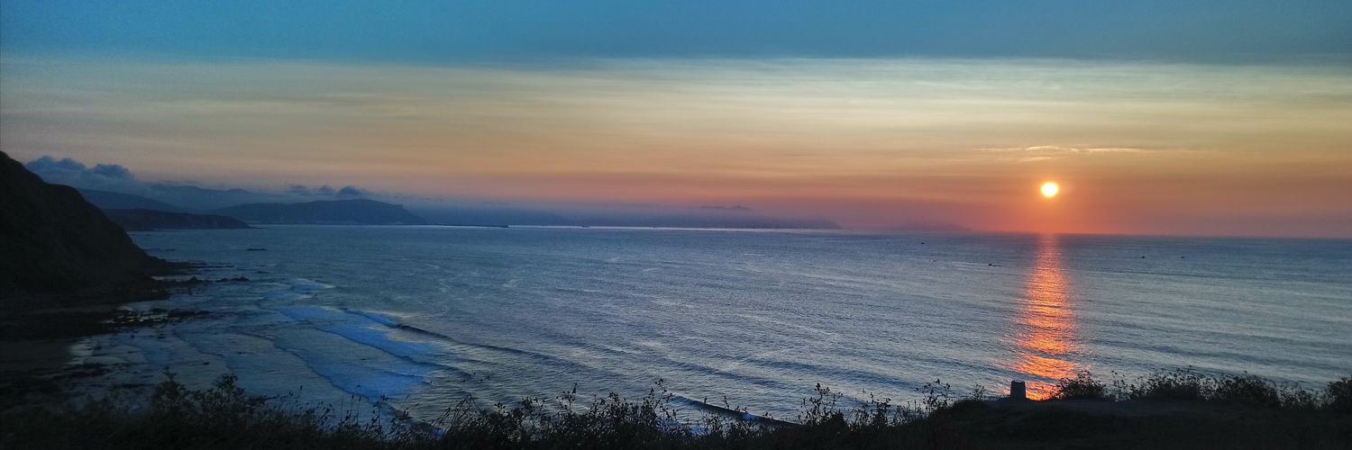 Teresa Valero banner