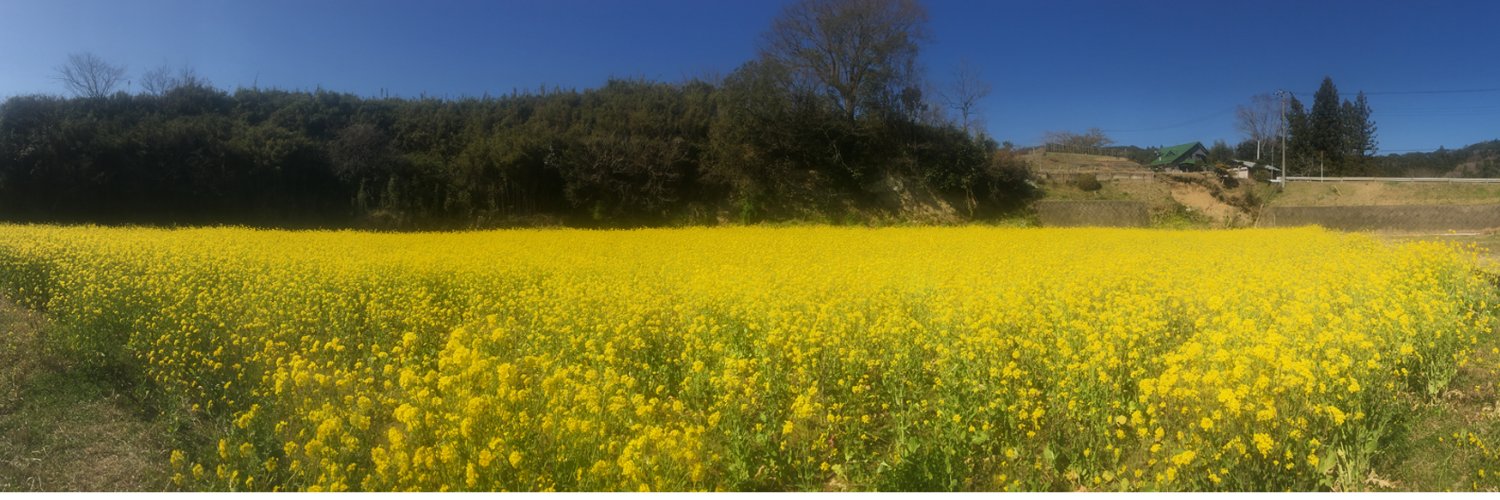 いもむすめ🍙 banner